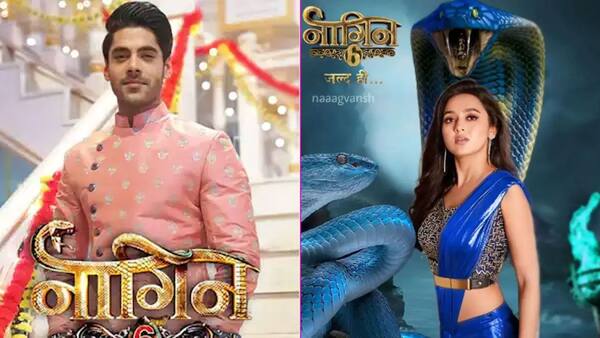 नागिन 6: तेजस्वी प्रकाश-सिम्बा नागपाल की जोड़ी को स्वीकार नहीं कर पा रहे  हैं दर्शक, ट्विटर पर छिड़ी जंग: Naagin 6: Fans Don't Want to See Tejasswi  Prakash-Simba Nagpal as ...