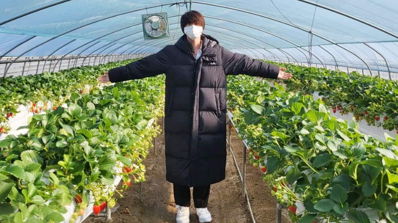 BTS Jin enjoys in his uncle's farm