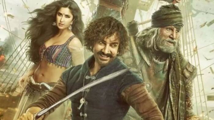 ठग्स ऑफ हिंदोस्तान (Thugs of Hindostan)