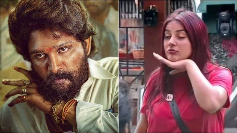 Did Allu Arjun copy Shehnaaz Gill's hand gesture as his signature move in Pushpa? This video from Bigg Boss 13 raises doubts