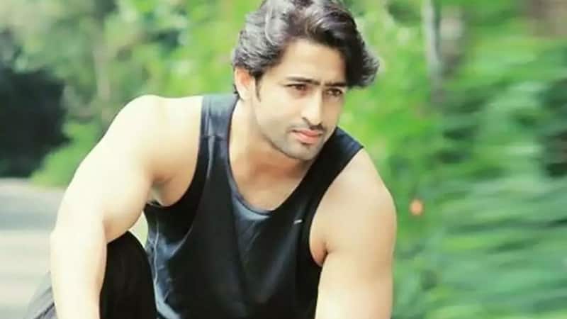 Will Shaheer Sheikh team up with THIS top TV actress for Rajan Shahi's show? [Exclusive]