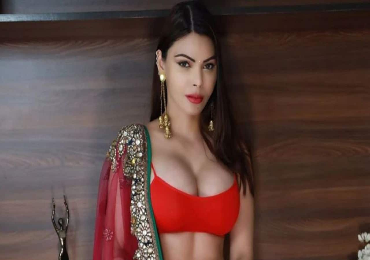 Raj Kundra porn case: Sherlyn Chopra gets arrest protection from Supreme  Court – deets inside