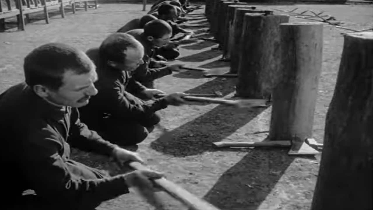 डोनबास (The Cacophony of the Donbas) डोनबास (The Cacophony of the Donbas)