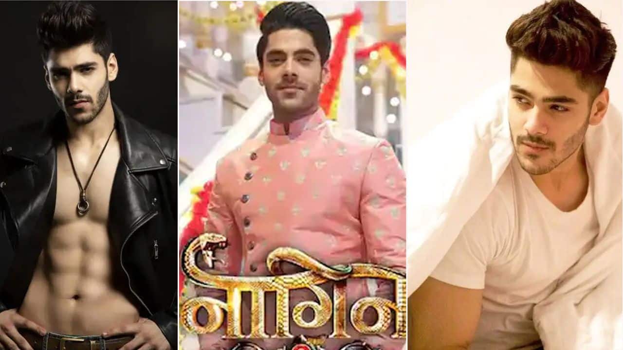 Naagin 6 के नए नाग बनने के लिए परफेक्ट हैं Simba Nagpal, ये रहे 5 सबूत