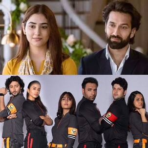 Bade Achhe Lagte Hain 2, Ziddi Dil Maane Naa and more - 5 TV shows that are not on TRP Top 10 but deserve attention from fans