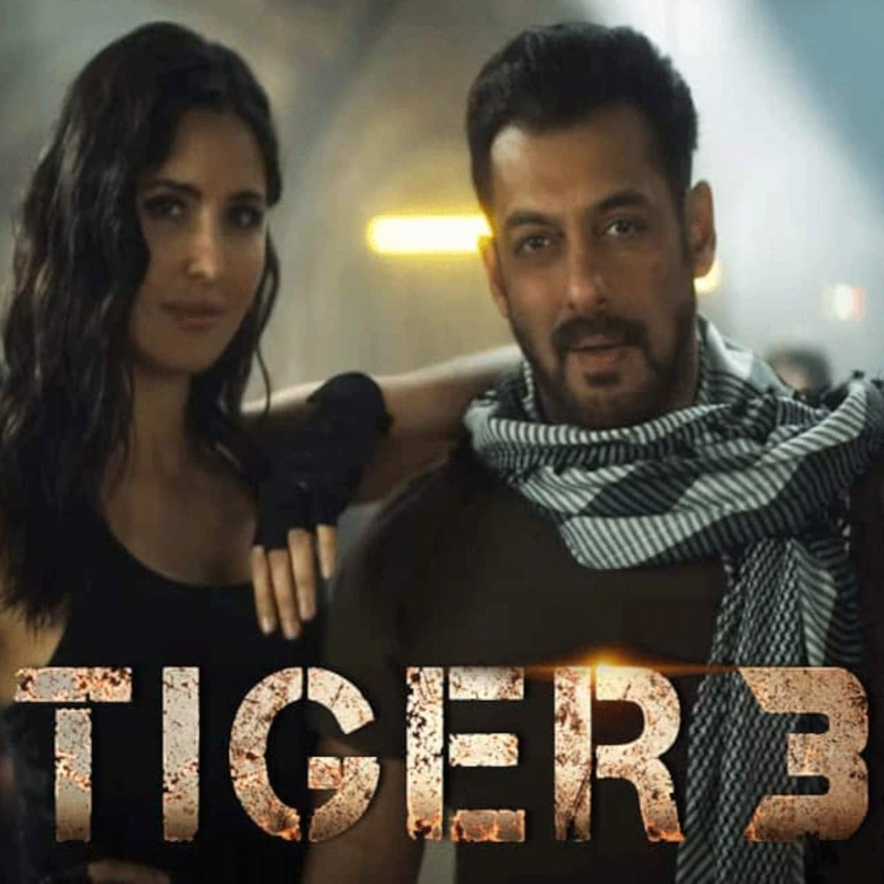 Tiger 3 (टाइगर 3)
