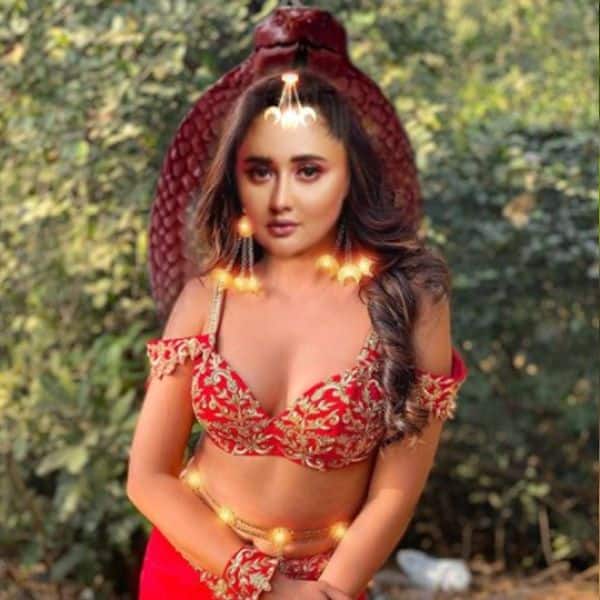 Rashami Desai's picture in the naagin avatar is going viral!