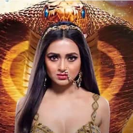 bollywoodlife.com top news
