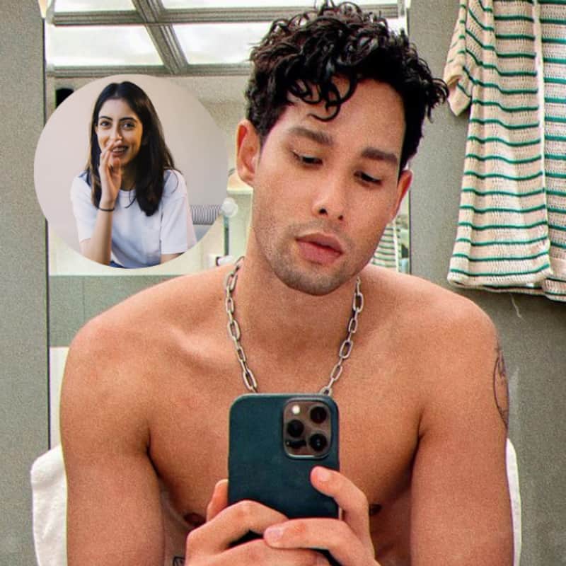Siddhant Chaturvedi drops a bare body mirror selfie; rumoured girlfriend Navya Naveli Nanda REACTS