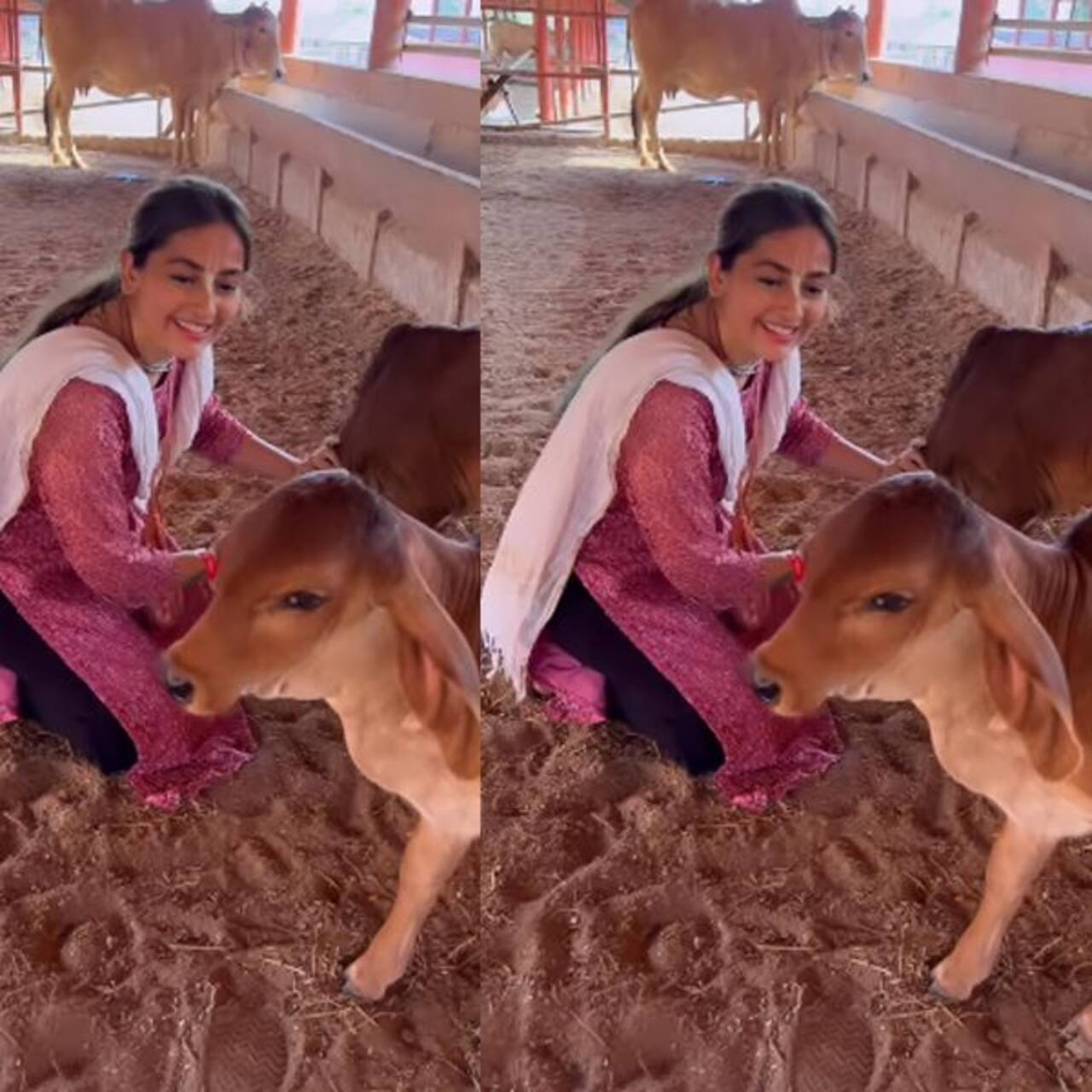 अनघा भोलसे ने किया था ये दावा