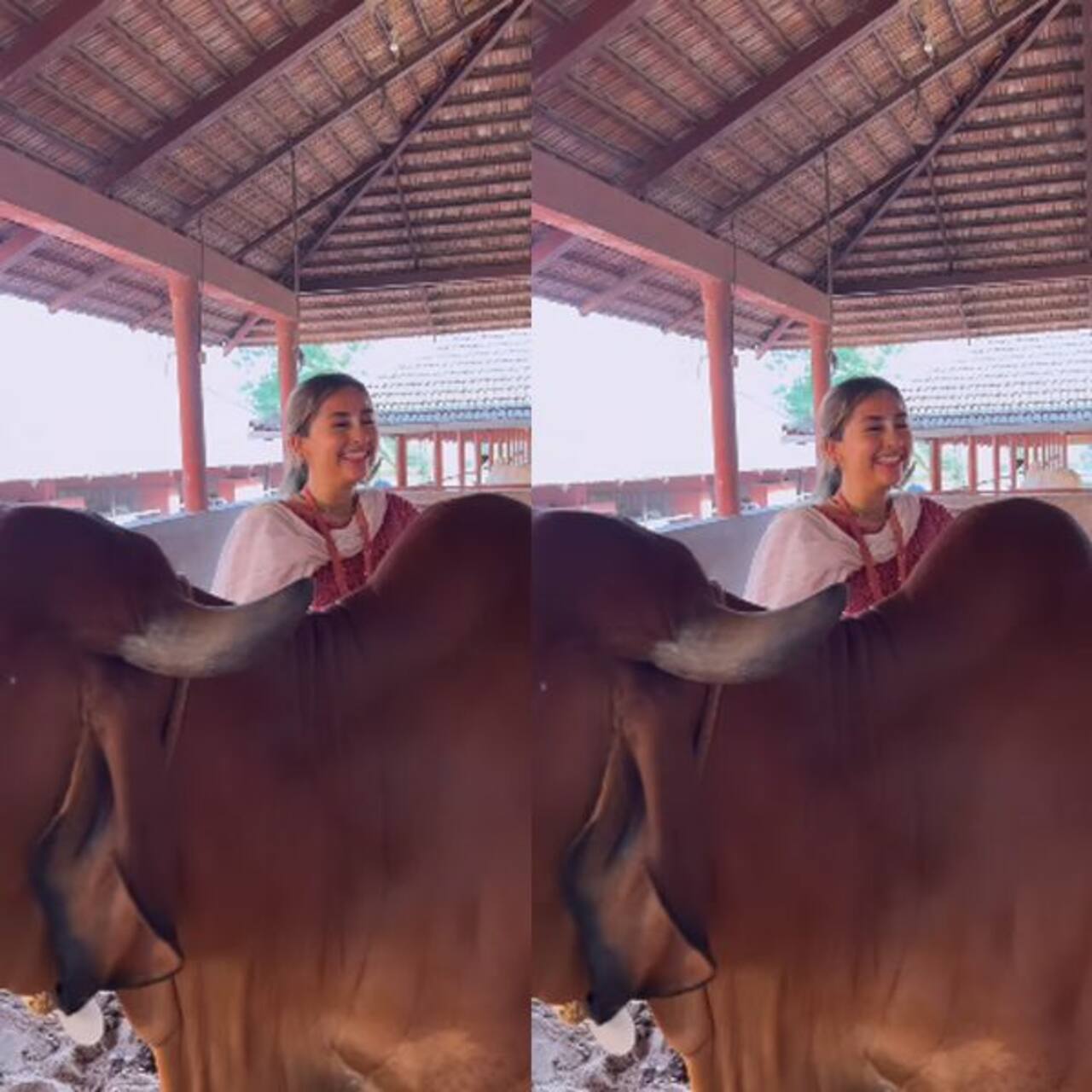 सोशल मीडिया पर छाईं अनघा भोलसे की तस्वीरें