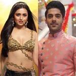 Naagin 6: After Simba Nagpal, fans will see this new hunk on Tejasswi Prakash's show