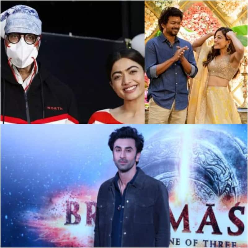 Rashmika Mandanna OPENS Up about working with Amitabh Bachchan, Ranbir Kapoor, Thalapathy Vijay in her upcoming films