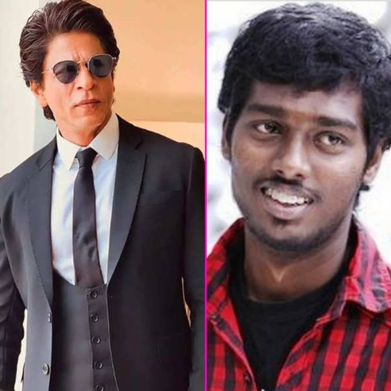 Exclusive Shah Rukh Khan And Atlee Movies Announced On This Date एक्सक्लूसिव शाहरुख खान और 