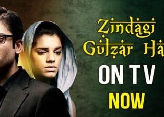 Pakistani heartthrob Fawad Khan's show Zindagi Gulzar Hai is back on TV – here's where and how you can watch it