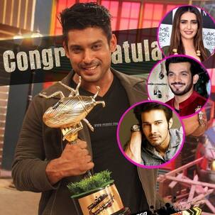 'खतरों के खिलाड़ी' में जीत का परचम लहरा चुके हैं ये सितारे, कोई हुआ हिट तो कोई गया पिट