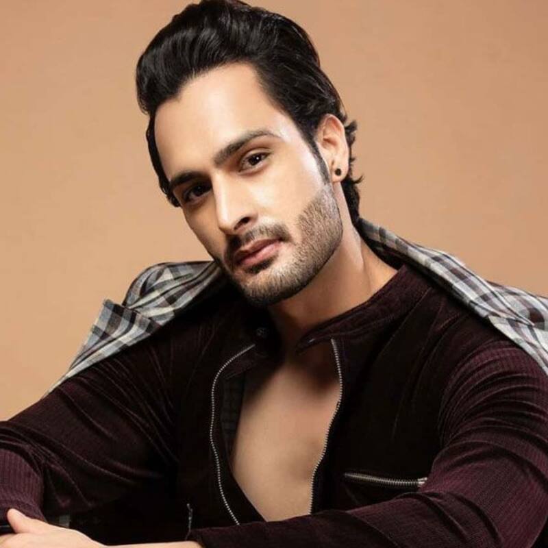 Jhalak Dikhhla Jaa 10: Bigg Boss 15's Umar Riaz to participate in the dance reality show? Here's the truth
