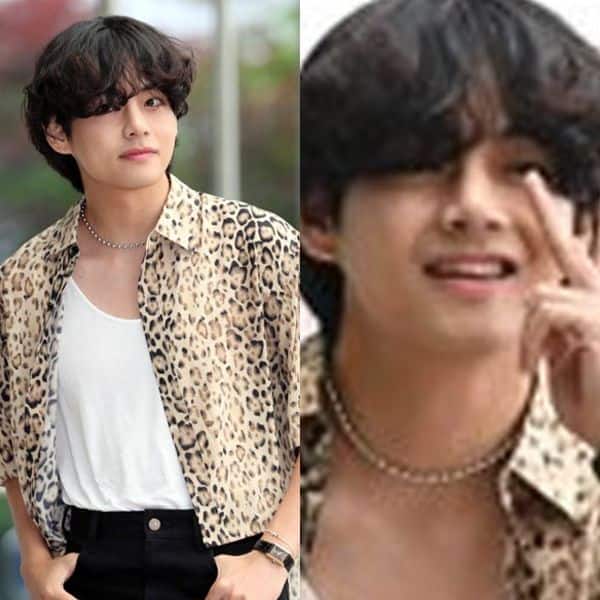 CELINE cancels the schedule of Kim Taehyung (V of BTS) in France