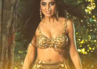 Naagin 6: Makers of Tejasswi Prakash starrer rope in THESE actors; introduce new twists to boost the TRPs