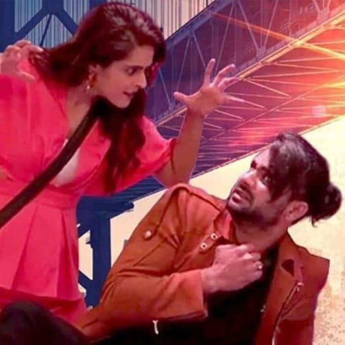 मधुरिमा तुली और विशाल आदित्य सिंह (Madhurima Tuli- Vishal Aditya Singh)