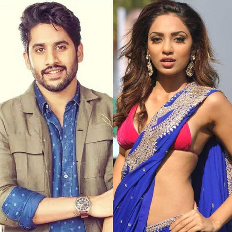 Did Made in Heaven actress Sobhita Dhulipala just drop a hint about dating Naga Chaitanya?