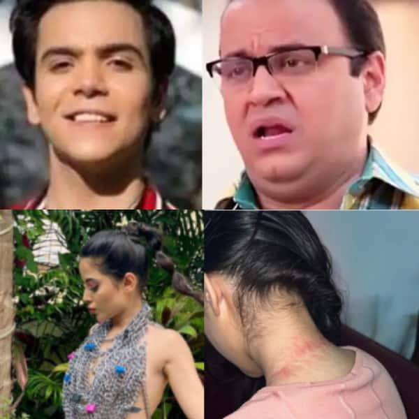 Trending TV News Today: Urfi Javed shares pic of bruised neck, TMKOC's ...