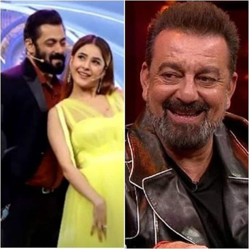 Shehnaaz Gill says she is going to America with Sanjay Dutt; Is another film on the cards after Salman Khan's Kabhi Eid Kabhi Diwali?