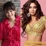 Shweta Tiwari, Nisha Rawal and more TV actresses who accused their partners and in-laws of domestic violence