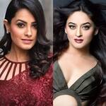 Anita Hassanandani, Mahhi Vij and more TV actresses who once ruled the screens but are now only social media stars