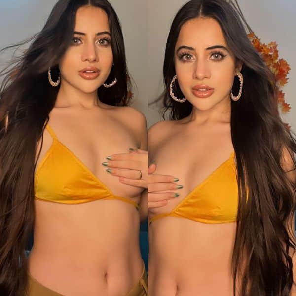 When Urfi Javed laid a mesh over her breasts  Urfi Javed covers her breast  with just her hand; check her boldest ever pics that left several jaws  dropped Photogallery at