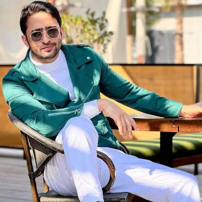 कृष्णा (Shaheer Sheikh in Woh Toh Hai Aleblaa)