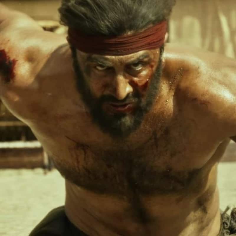 Shamshera box office collection: Ranbir Kapoor's action image, budget and other factors that affected the movie – view final lifetime estimate [Exclusive]