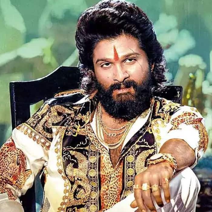 Allu Arjun (Pushpa)