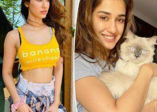 Ek Villain Returns actress Disha Patani loves luxurious life: A look at her lavish homes, car collection, annual income, charge per film and more