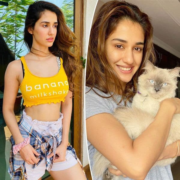 Disha Patani's fees per film, annual income, houses in Mumbai, collection of cars, bags and much more