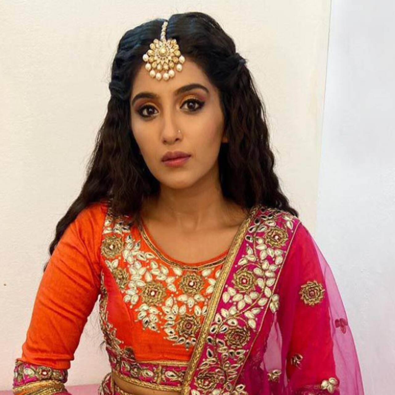 before-tejasswi-prakash-in-naagin-6-these-gorgeous-tv-beauties-played