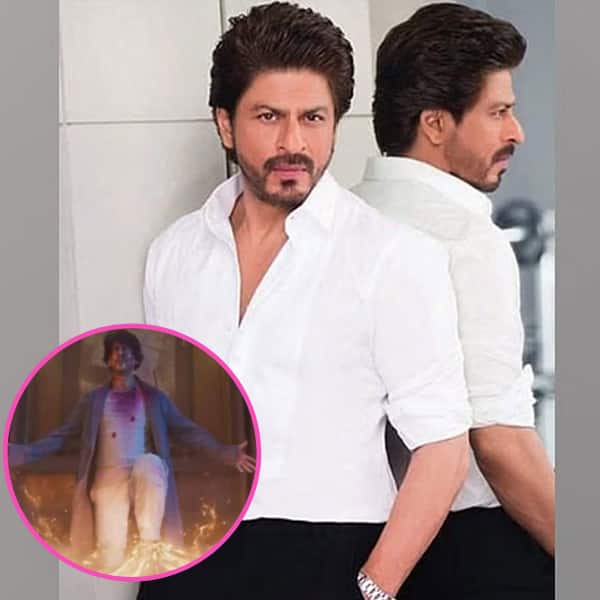 Brahmastra BIG LEAK! Shah Rukh Khan's character revealed 