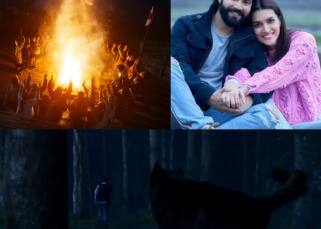 Bhediya teaser: Varun Dhawan, Kriti Sanon film promises the perfect chills with a goosebump inducing first glimpse