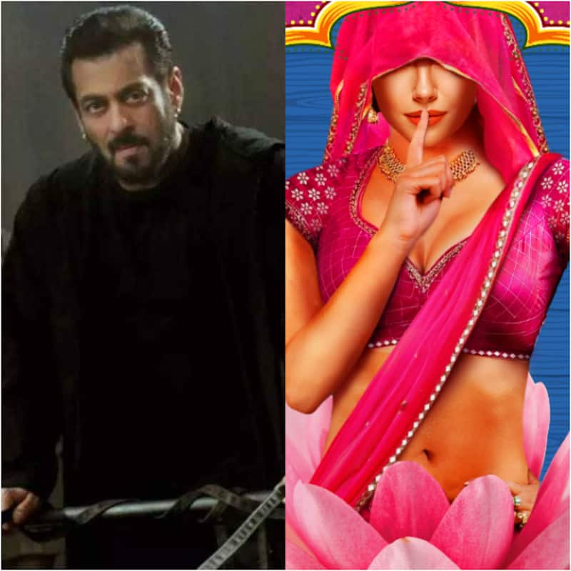 Bigg Boss 16: This Gandii Baat actress to be a part of Salman Khan's reality show?