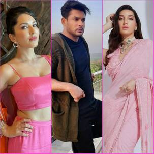 Bigg Boss के इन कंटेस्टेंट्स पर था सलमान खान का हाथ, भाईजान के साए में मिली थी पूरी छूट