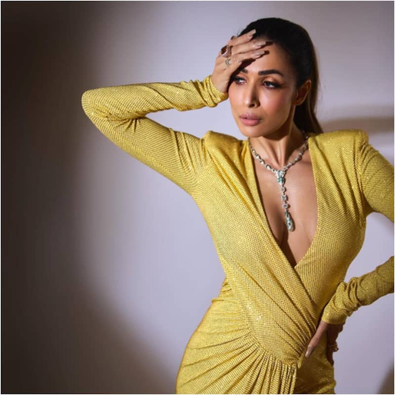 Malaika Arora's evening outing in an oversized shirt invites trolls; netizens ask, 'Pant kahan hai' [Watch Video]