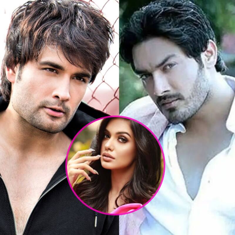 Bigg Boss 16: Vivian Dsena, Avinesh Rekhi reject the show; is Divya Agarwal coming as a contestant?