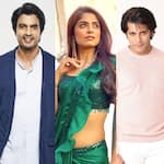 Gashmeer Mahajani, Karanvir Bohra, Sayantani Ghosh and more popular TV celebs who lost all their money and got into major debts