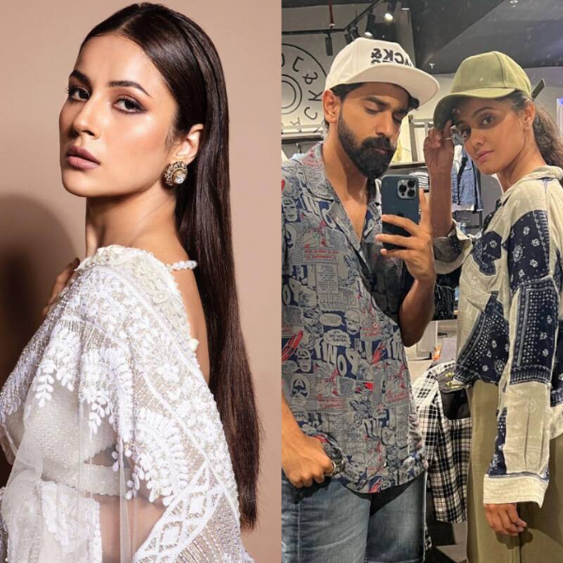 Shehnaaz Gill, Ayesha Singh and more: Meet the TV Instagrammers of the week