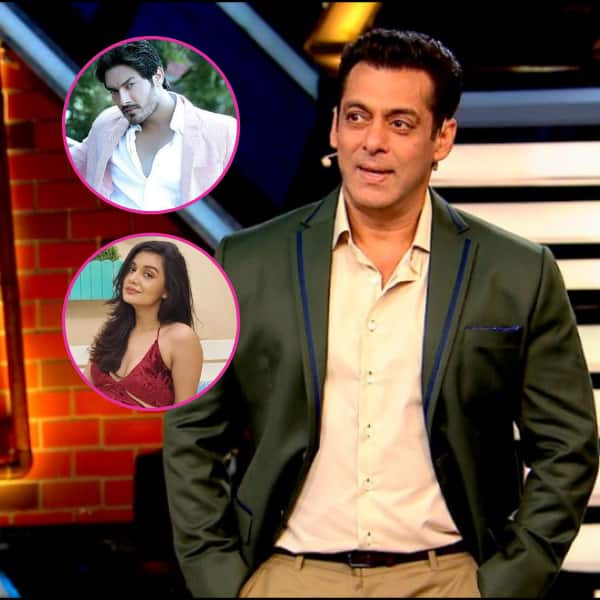 TV News Today: Avinesh Rekhi rejects Salman Khan's Bigg Boss 16 