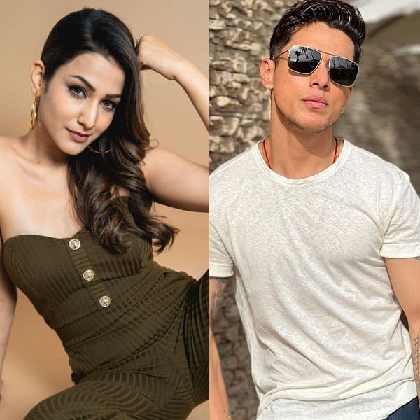 Naagin 6 takes a generation leap; Pratik Sehajpal and Amandeep Sandhu join the cast 
