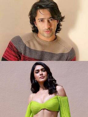 TV celebs who refused big Bollywood movies