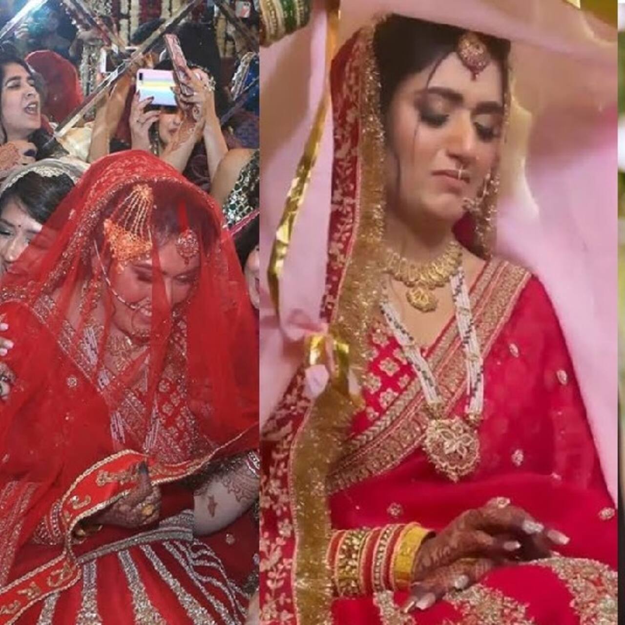 शिरीन मिर्जा (Shireen Mirza)