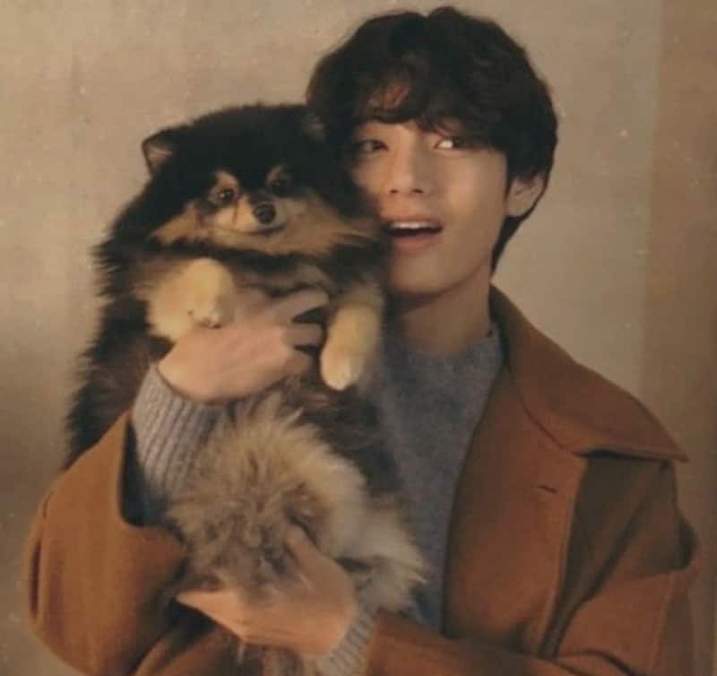BTS: Kim Taehyung's beloved pet Yeontan gets dragged in the dating saga with Blackpink rapper Jennie Kim; here's what happened