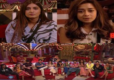 Bigg Boss 16 Day 101 Written Updates: MC Stan, Archana Gautam, Nimrit Kaur  Ahluwalia's Family Members Enter The House Taking The Fun & Drama Quotient  Higher